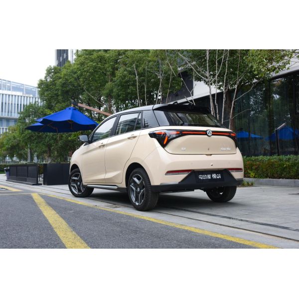 335KM Pure Electric Range Yue 01 2024 Model Lingyue Version with Battery Type Lithium
