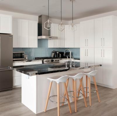 RTA Modular Kitchen Storage Cabinets Lacquer Shaker White