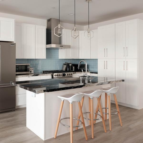 RTA Modular Kitchen Storage Cabinets Lacquer Shaker White