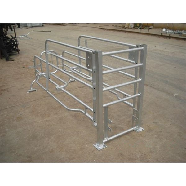2.2m*1.0m*0.6m Size Pig Farrowing Crate With Feeder / Drinkers / Floor