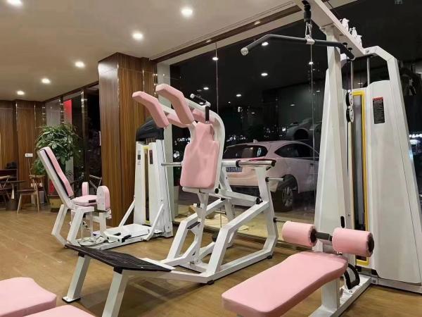 Commercial Gym Machine for Leg Exercise Steel Hack Squat Machine Medium Loader Bodybuilding Tool
