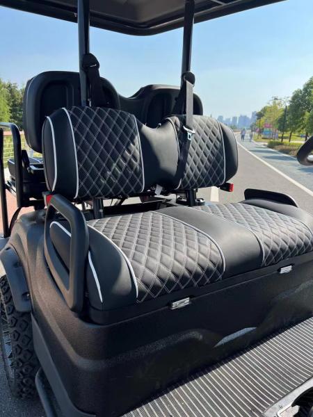 EV4+2G 25mph Electrical Golf Cart Customizable Color High End Upgradeable