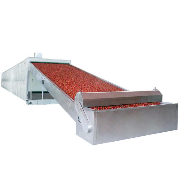 400 To 700kg/ H Citrus Mesh Belt Dryer Equipment Big Capability