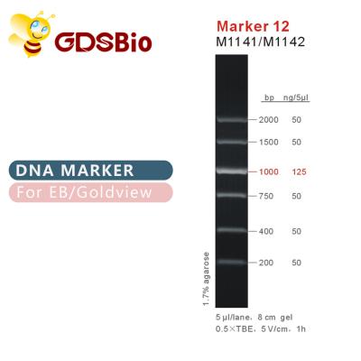 Escada M1141 do ADN do marcador 12 (50μg) /M1142 (5×50μg)