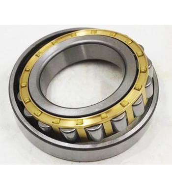 P6  NU 204 ECP SKF Roller Bearings With Catalogue