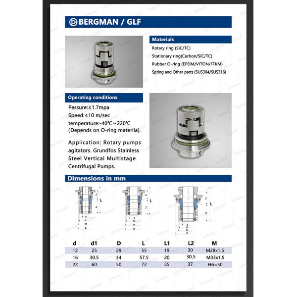 BERGMAN Заменить Grundfos GLF-12 16 22 32 36 мм CR CRN CRI Насос механическая уплотнение HQQV HQQE 96455086 96511844 96525458