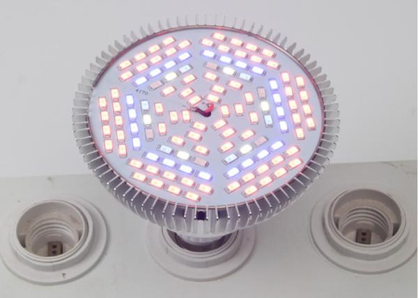 Greenhouse Full Spectrum LED Grow Lights 78 Red 24 Blue For Hydroponics Plant Seeding