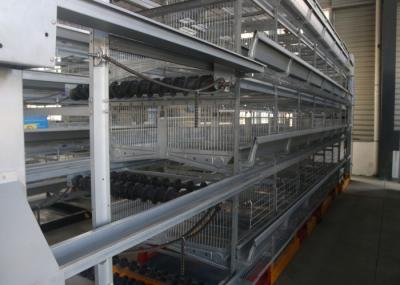 Durable Poultry Keeping Equipment  For Large Scale Production Chicken Farming