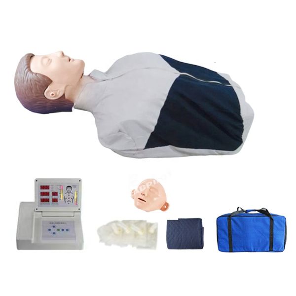 Medical Science Adult Half-body CPR Torso Manikin for Emergency Skills Practice Model