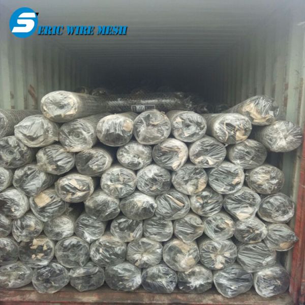 hebei PVC coated 2.5mm / 3.2mm anti-bird wire mesh / hexagonal wire mesh ( manufacturer & ISO made in china from dingzho