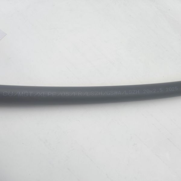 Instrumentation Cable 300/500V 20Cores CU/MGT/XLPE/OS/FR/LSZH/GSWA/LSZH 20х2,5