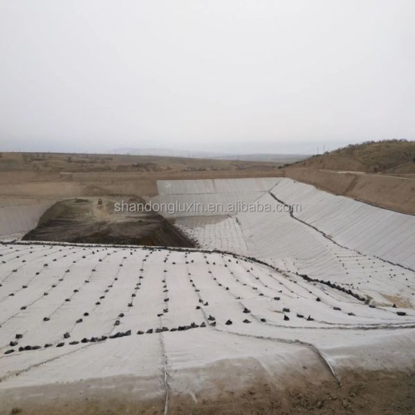 Дренаж дождевых вод 3d Пластиковые геокомпозитные канализационные сети для промышленных тоннелей или плотин