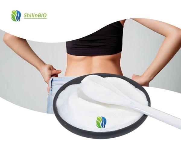 L Carnitine Base Powder