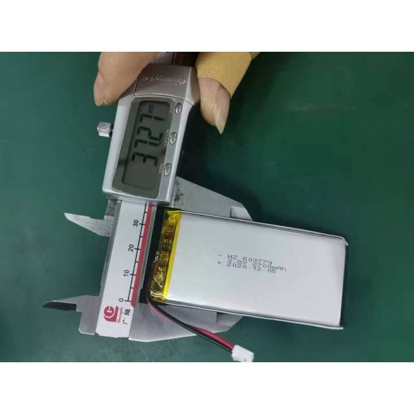 2700mAh High Capacity Lithium Polymer Battery with Customization Samples and PCB Protection