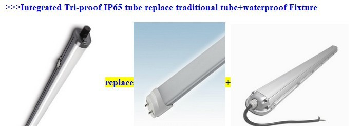Indoor IP65 Tri Proof LED Light Fixture 20W 40W 55W Industrial Warehouse LED Strip Lights
