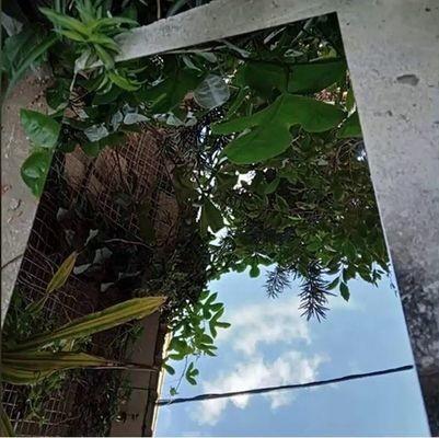 6 X 36 4 X 6 6x6 Stainless Steel Sheet 600mm 304 304l 301 309S 310S 316L 8K Mirror