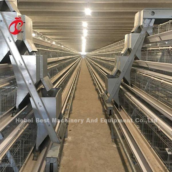 Automatic Battery Poultry Cage Cold Galvanized For Laying Chickens In Africa Market Iris