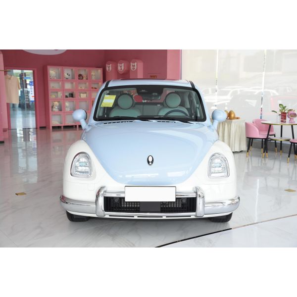 места кота 5 балета Ora Великой Китайской Стены электрических автомобилей 500km мини высокоскоростные