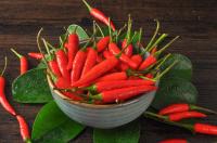 Laoganma Chili Sauce Processing Line 2 - 3T/H SUS316 380V 50Hz
