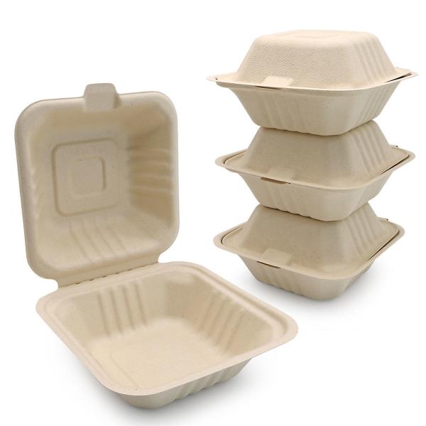 Customized food burger boxes are biodegradable disposable and eco-friendly