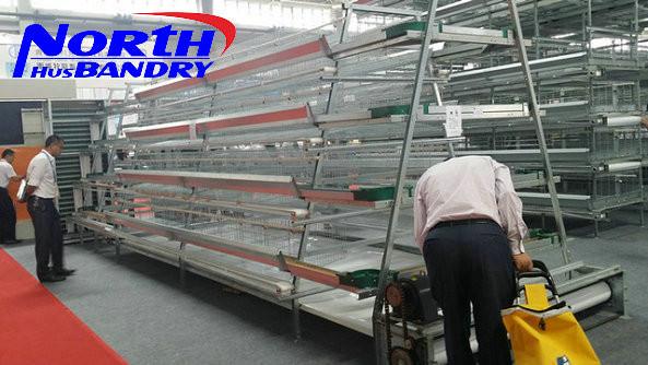 Hot-Sale BT factory A-120 poultry farm layer cage(Welcome to Visit my factory)