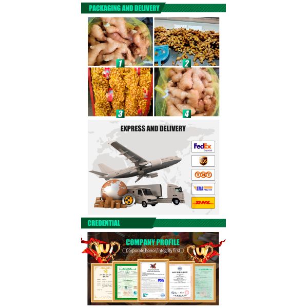 Organic Fresh Yellow Young Ginger Farm-Grown Chinese Ginger High-quality 100% Pure Natural Specification