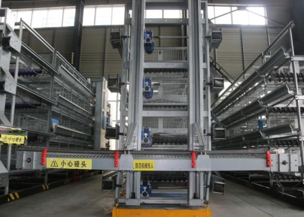 Commercial A Frame Chicken Raising Equipment Less Than 0.05% Egg Broken Rate