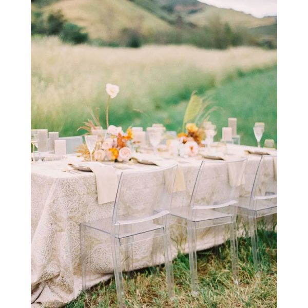 Прозрачная ясная свадьба Кристл призрака предводительствует открытый сад 81cm прокатов