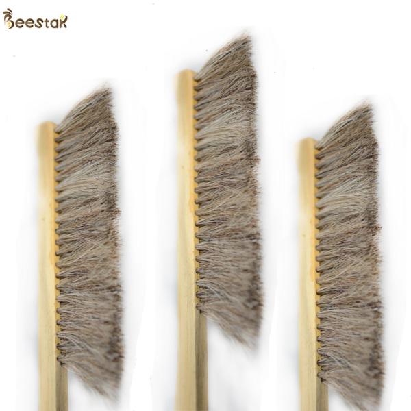 Vente en vente à chaud à deux rangées de poils de cheval, brosse d'abeille, poignée en bois pour apiculteurs