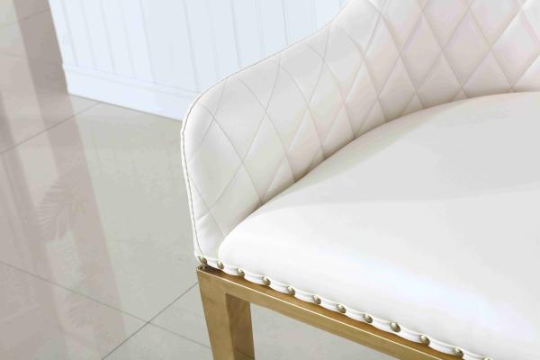 A sala de jantar acolchoada nórdica preside as cadeiras de sala de estar de couro da sala de jantar da negociação dos SS brancas