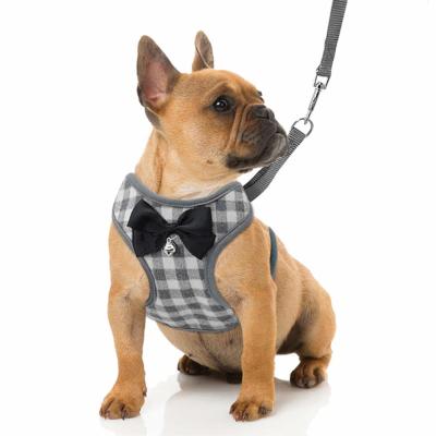 Nenhum grupo pequeno do chicote de fios e da trela do cão da tração com a veste de nylon da malha macia respirável