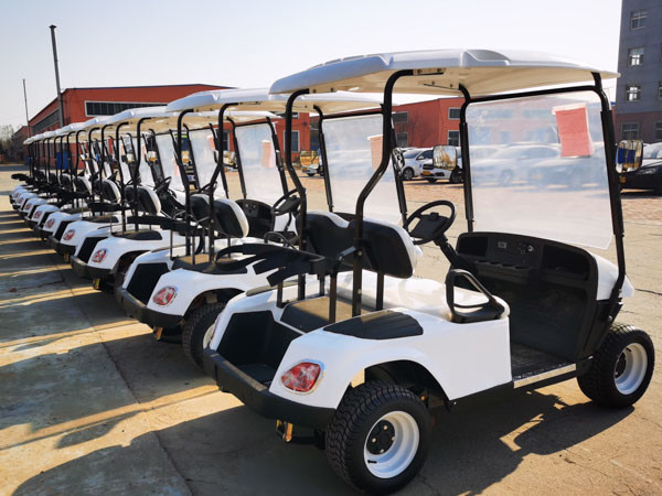Тележки гольфа 20Мпх Сайтсеиинг законной общины улицы Аэтрик 2021 для сада