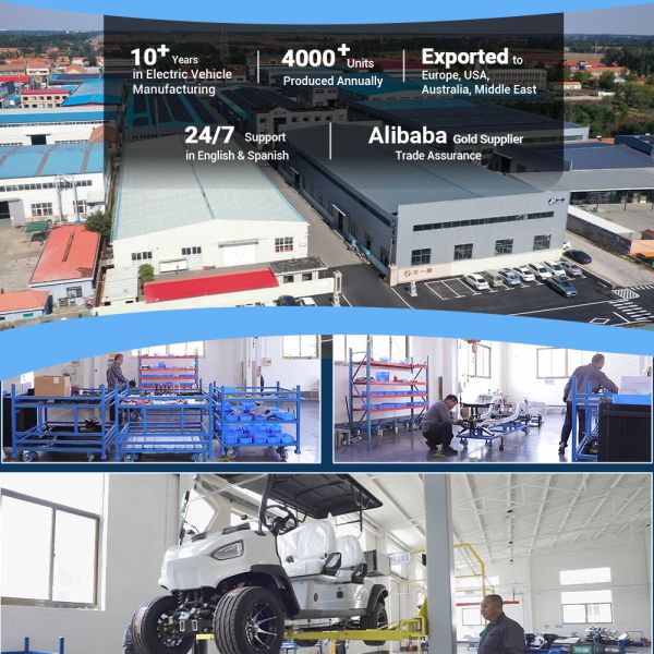 High Load Capacity Electric Utility Golf  Cart with Hydraulic Dump Bed