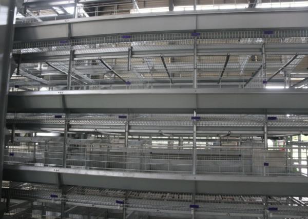 Professional Poultry Brooder Cages Poultry Keeping Machinery Silver Color