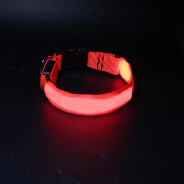 Pet Usb Rechargeable Led Collar For Dog , Custom Glow In The Dark Dog Collar