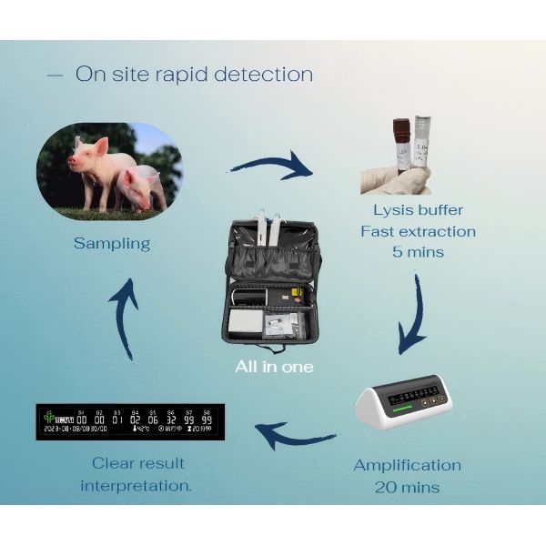 Plastic Multi Scenario On Site Rapid Detection Pack  Easy To Use Cassette Type