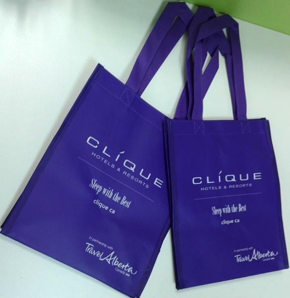 ECO Custom LOGO PP Non-woven tote bags wholesale