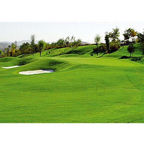 Профессиональные спорт играют в гольф высокую износостойкость дерновины поддельной травы искусственную