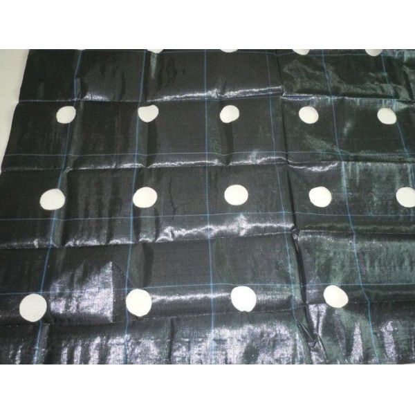 PP Black - Green Biodegradable Landscape Fabric For Stop Grass Growing