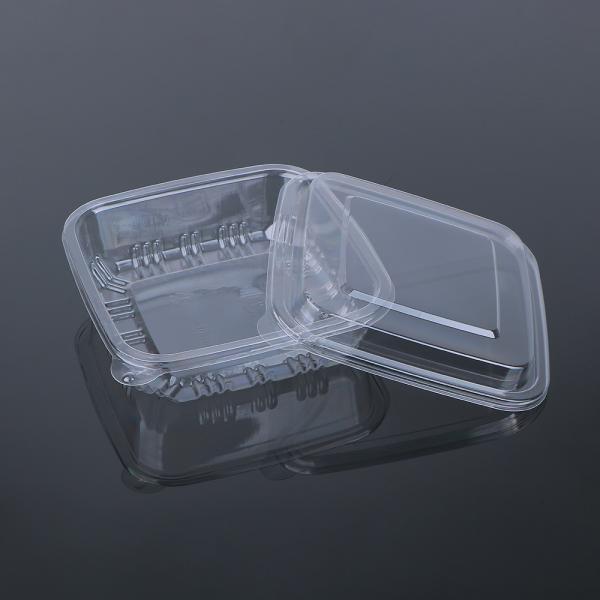Clear/Green Virgin Food Grade PET 16*16*6cm Plastic Pastry Container With Lid