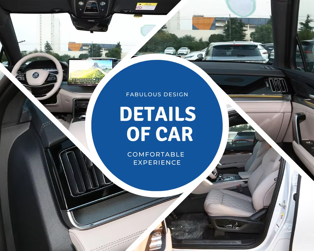 BYD Tang EV Pure Electric 730km Long Range Intelligence Drive SUV