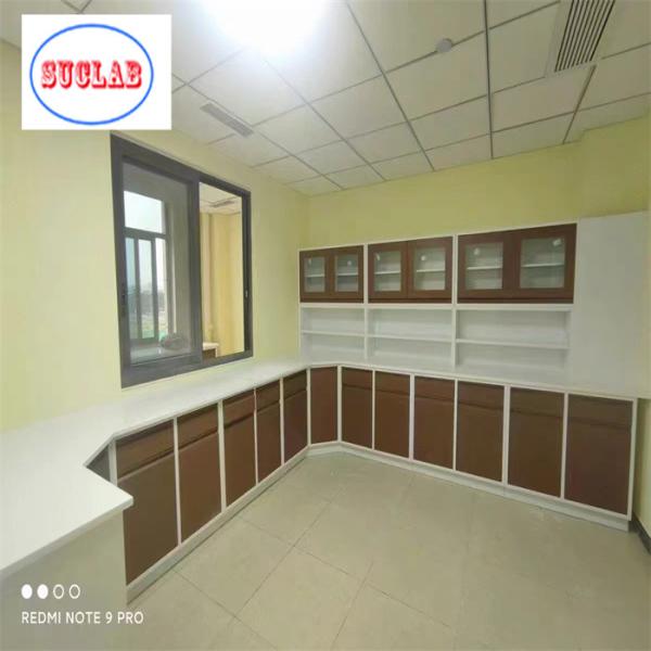 Adjustable Shelves Hospital Furniture Disposal Cupboards Manufacturer for Healthcare Facility