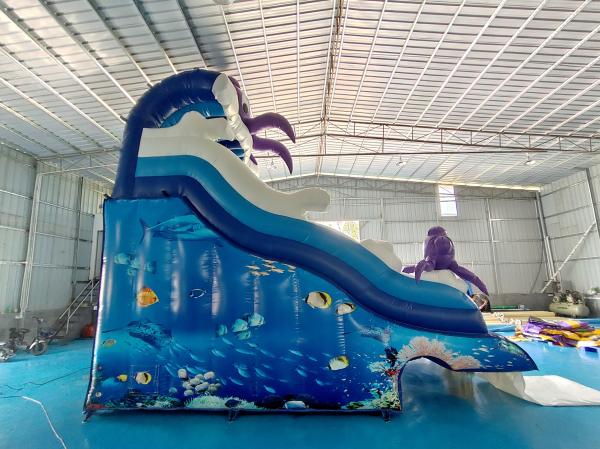 Novo Design Popular Slide Inflável Ocean Octopus Cartoon Party Slides Duplos Infláveis Secos para Crianças e Adultos