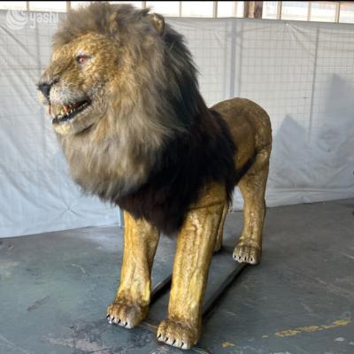 Realistic Lion Sculpture Model Movable 210CM For Park Decoration