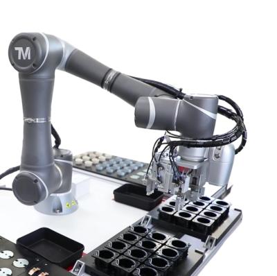 Techman Robot Inspection TM12 TM14 TM16 TM20 Smart Manufacturing Al Cobot Automation Pick and Place Assembly Robot