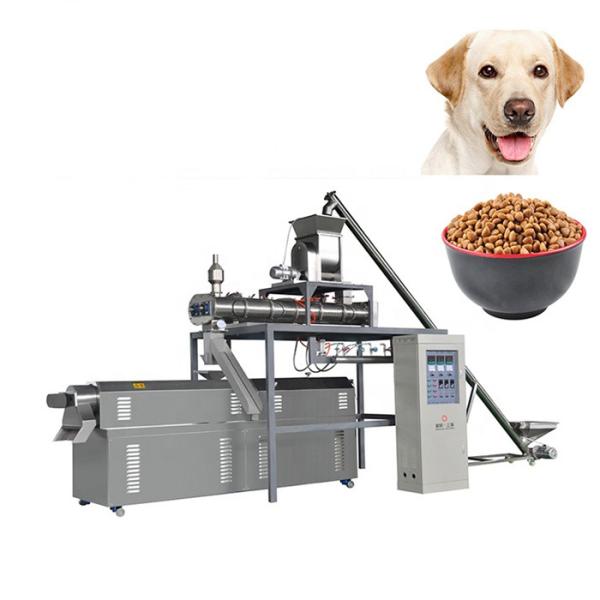 150KW automático completo Cat Pet Feed Production Line 25*2.5*3.5m de aço inoxidável