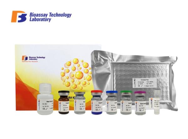 Laboratory Research Sandwich Bovine ELISA Kits Thyroid Stimulating Hormone