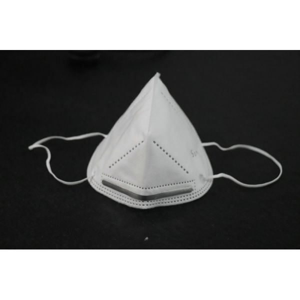 L'adulte liquide KN95 Earloop d'anti pollution le masque protecteur