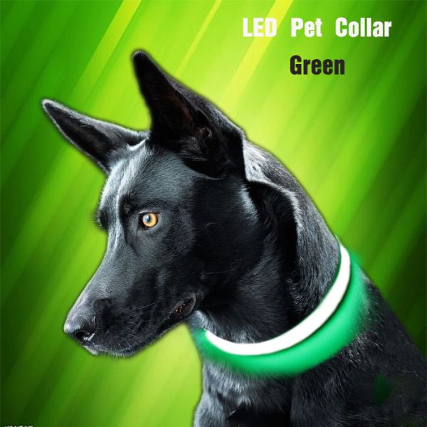 Custom USB LED Dog Collar Nylon Print Adjustable Reflective Rechargeable Waterproof