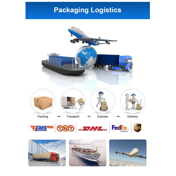 FT-46SGM370  6v 12v 24v 2-200rpm Dc Worm Gear Motor for Electric Glue Gun